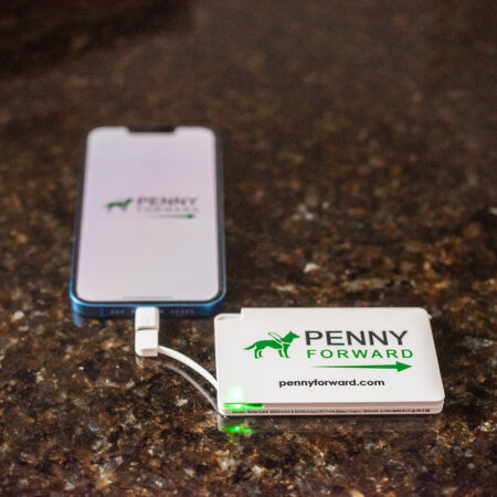 Penny Forward Solar-powered Battery bank
